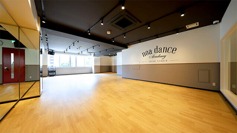 NOA dance academy