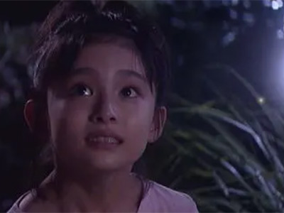 drama hotaru no hikari