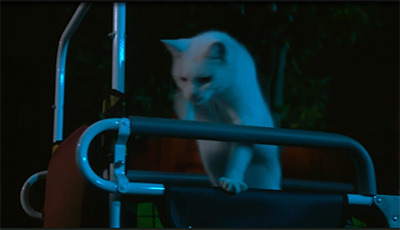 真犯人フラグ2話 猫